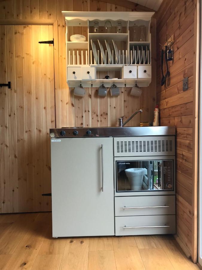 Unique Sheperds Hut Private Hot Tub, Ensuite & Kitchenette Clodock Kültér fotó